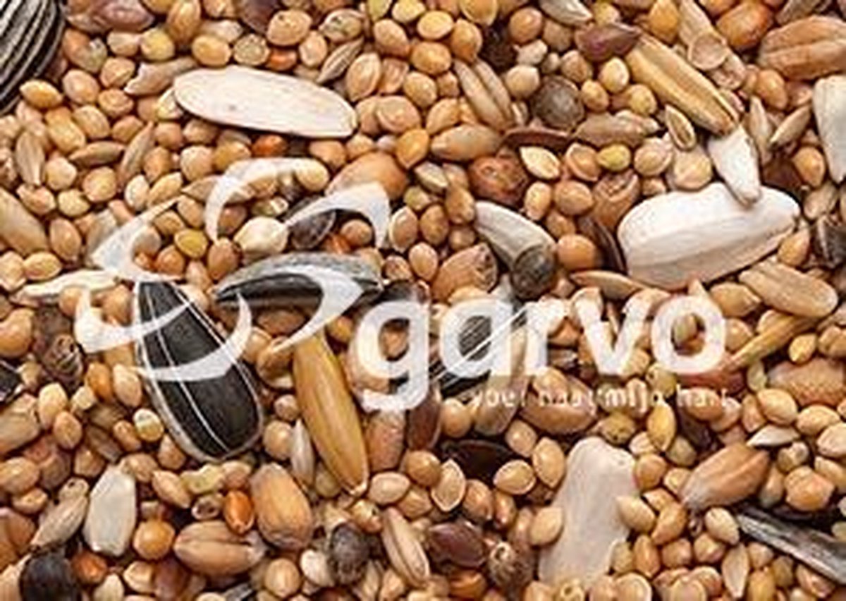 Grote Parkietenvoer - 5 kG