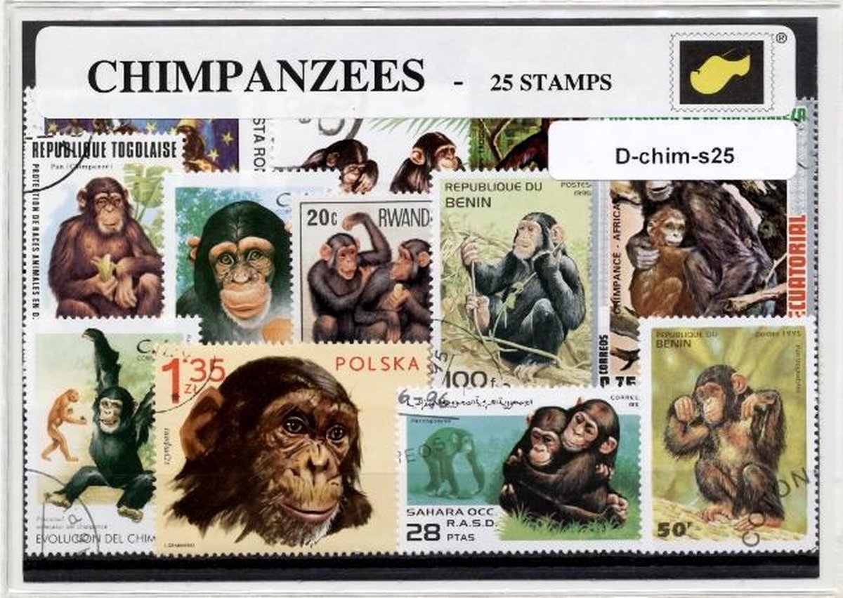 Chimpansees - Luxe postzegel pakket (A6 formaat) : collectie van 25 verschillende postzegels van chimpansees – kan als ansichtkaart in een A6  envelop - authentiek cadeau - kado - kaart -primaat - primaten - chimpansee
