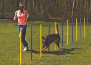 Topmast Agility Slalom set