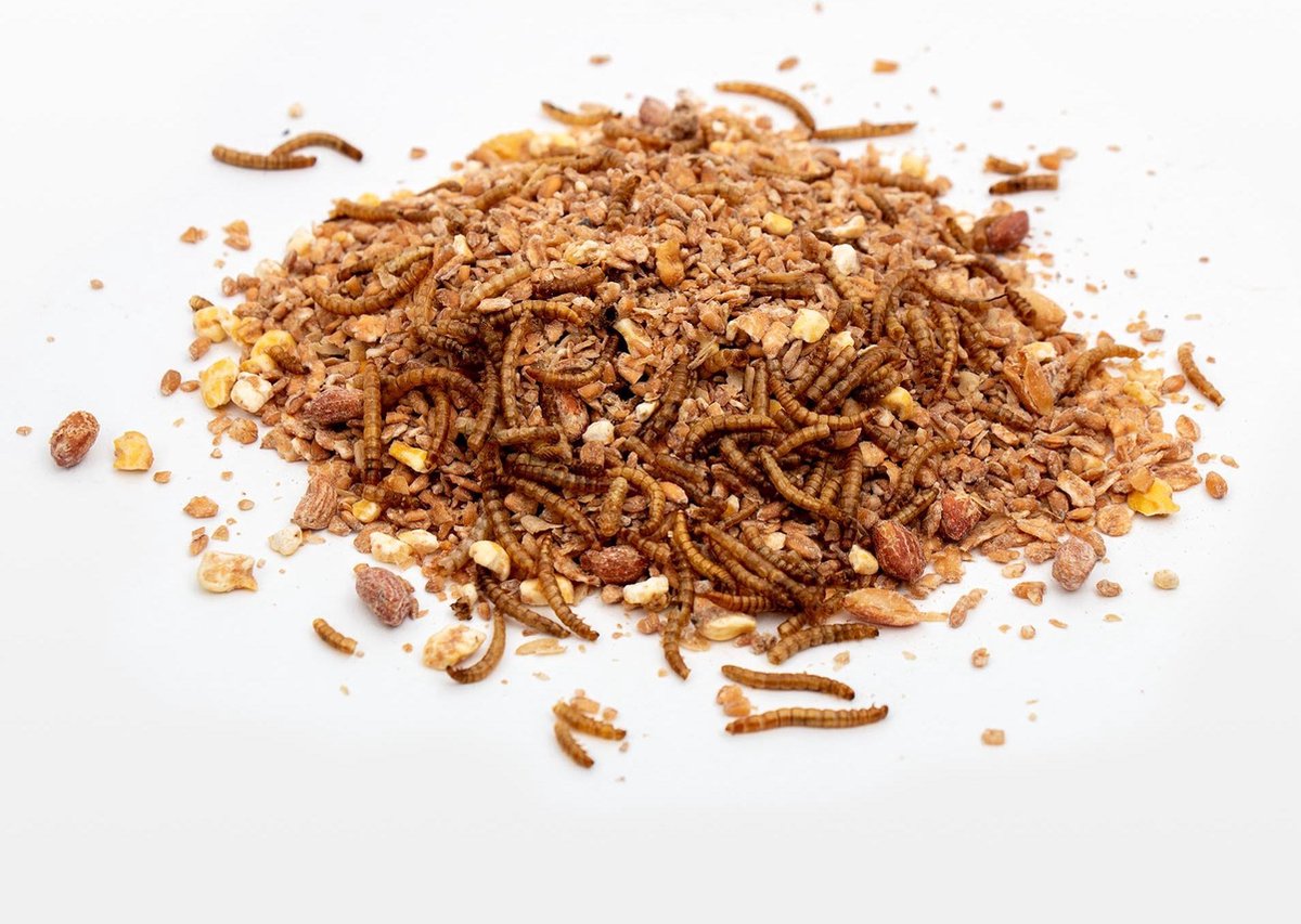 Zadenmix 4 granen met  Meelworm - 10 KG