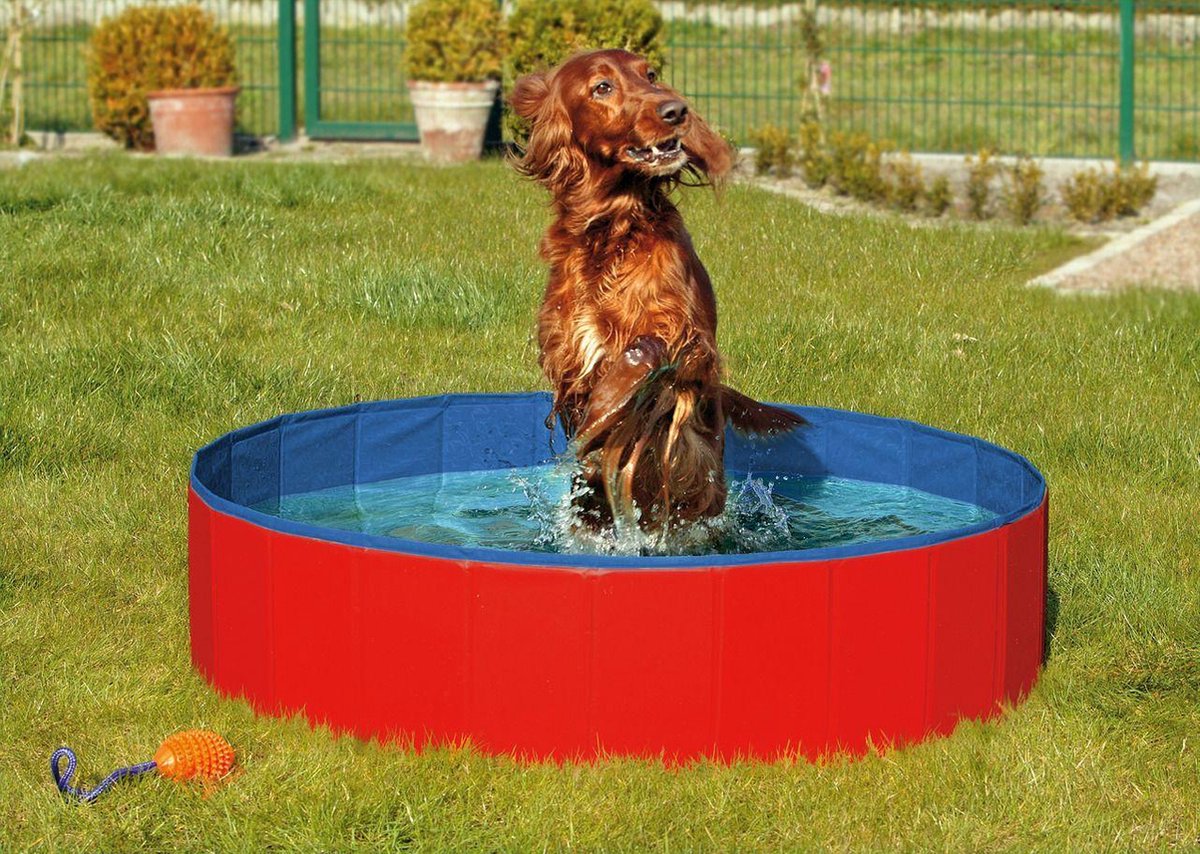 WorldPet hondenzwembad 120 x 120 x 30cm Rood