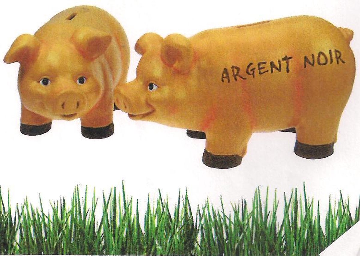 spaarvarken - tirelire cochon 21cm Argent noir