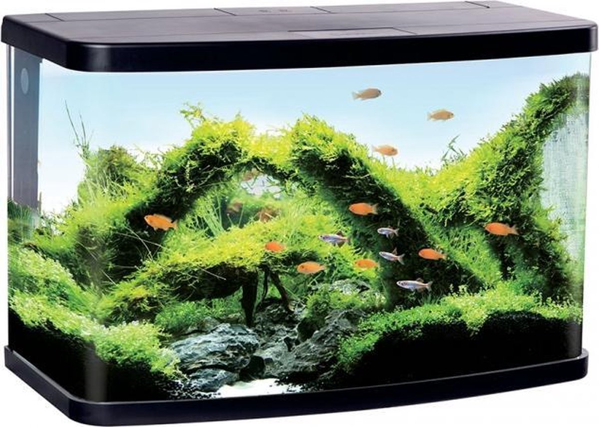 Duvo + Aquarium panorama vs90 Zwart 76