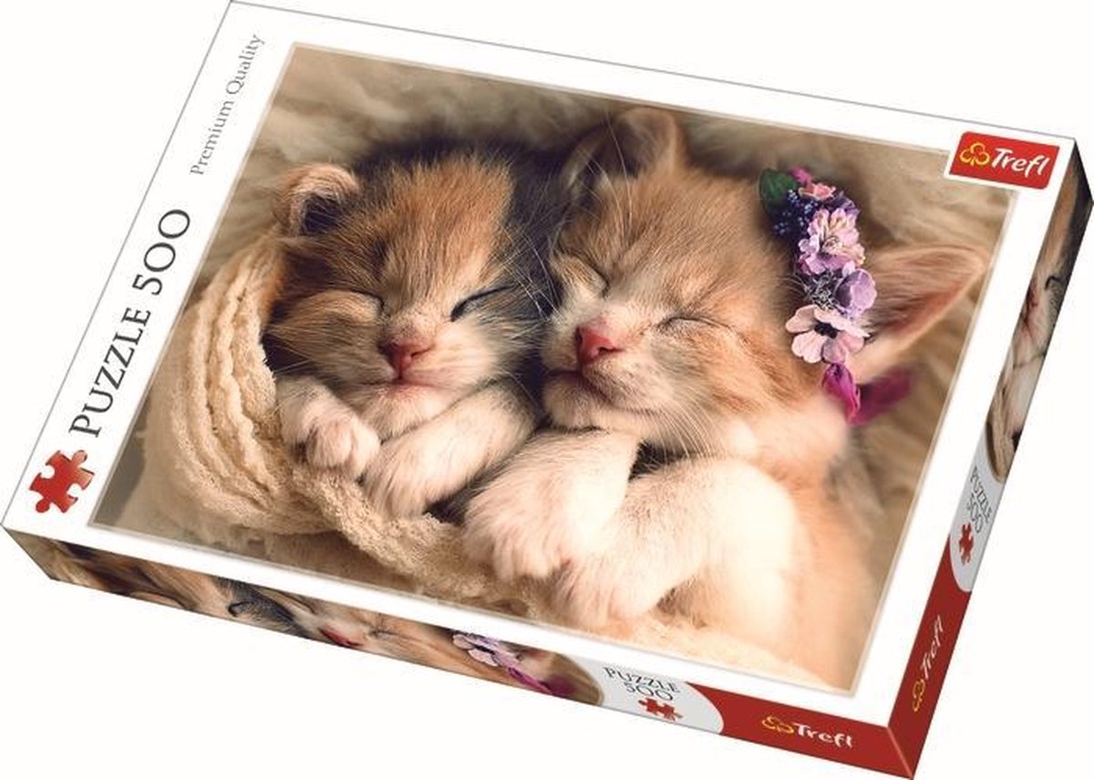 Slapende kittens