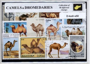 Kamelen & Dromedarissen – Luxe postzegel pakket (A6 formaat) : collectie van 50 verschillende postzegels van kamelen & dromedarissen – kan als ansichtkaart in een A6 envelop - authentiek cadeau - kado - geschenk - kaart - woestijn - bulten - hoefdier