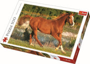 De schoonheid van de galop