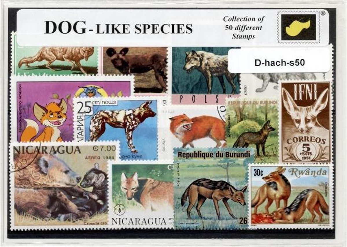 Hondachtigen – Luxe postzegel pakket (A6 formaat) : collectie van 50 verschillende postzegels van hondachtigen – kan als ansichtkaart in een A6 envelop - authentiek cadeau - kado tip - geschenk - kaart - huisdieren - huisdier - hond - viervoeter