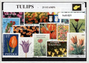 Tulpen – Luxe postzegel pakket (A6 formaat) : collectie van 25 verschillende postzegels van tulpen – kan als ansichtkaart in een A6 envelop