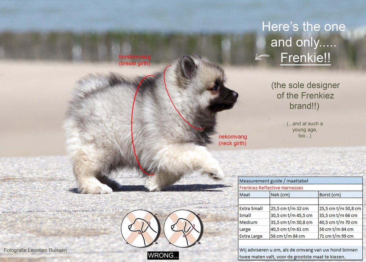 Frenkiez reflective no pull lockable harness
