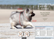 Frenkiez reflective no pull lockable harness