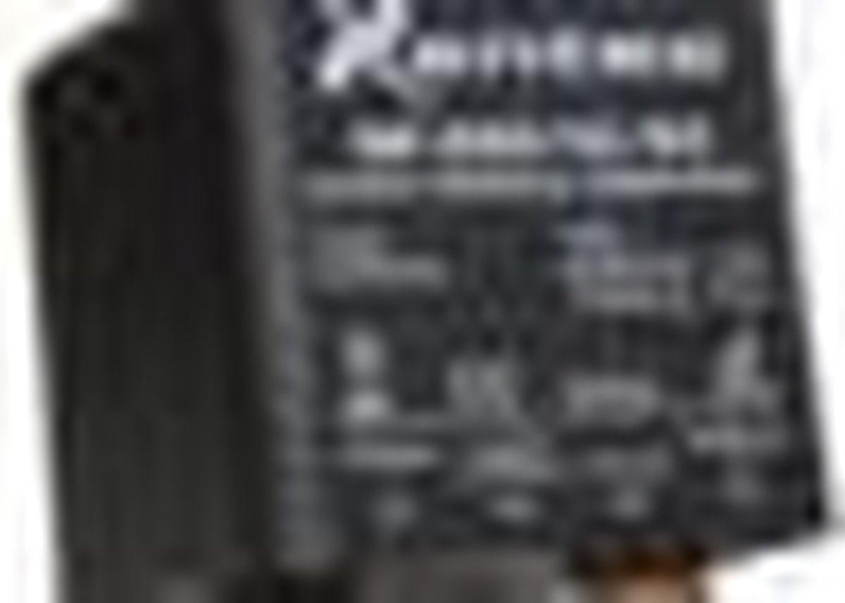 SR200-12/24 Accu Scheidingsrelais 12/24V 200Amp max.