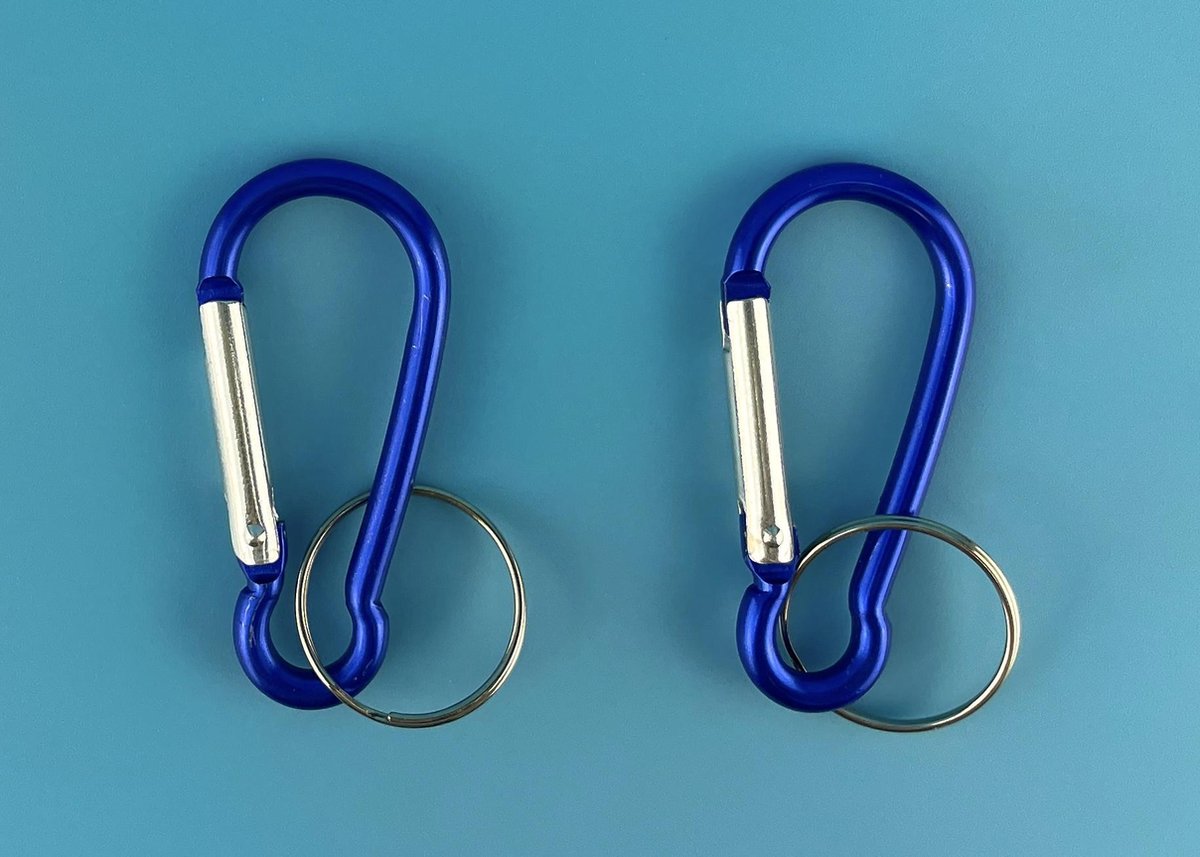 Karabijn - Karabijnhaken - Sleutelhanger - 2 stuks - Assorti - 5.5 cm