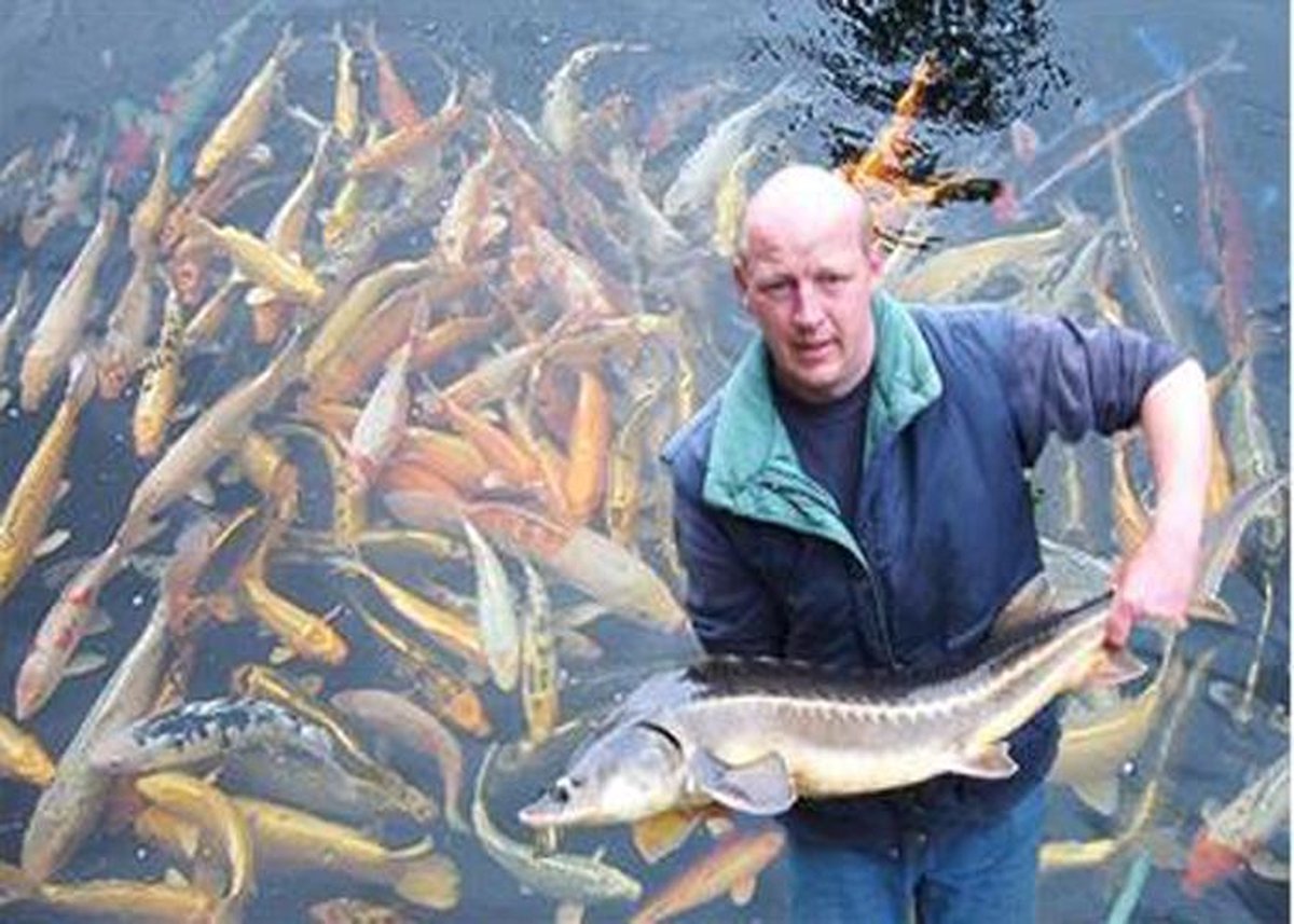 zinkend koi/steurkorrel voor een goede groei 4