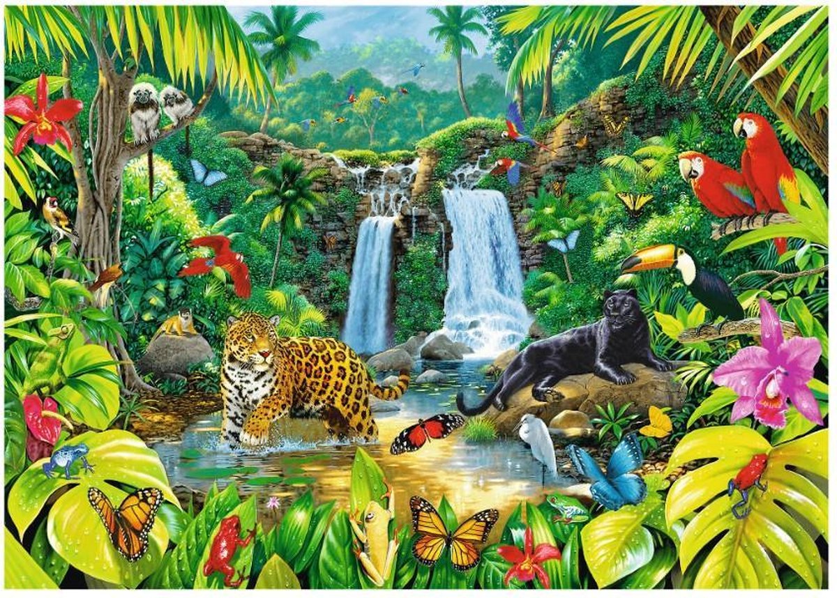 Rainforest -  Puzzle 2