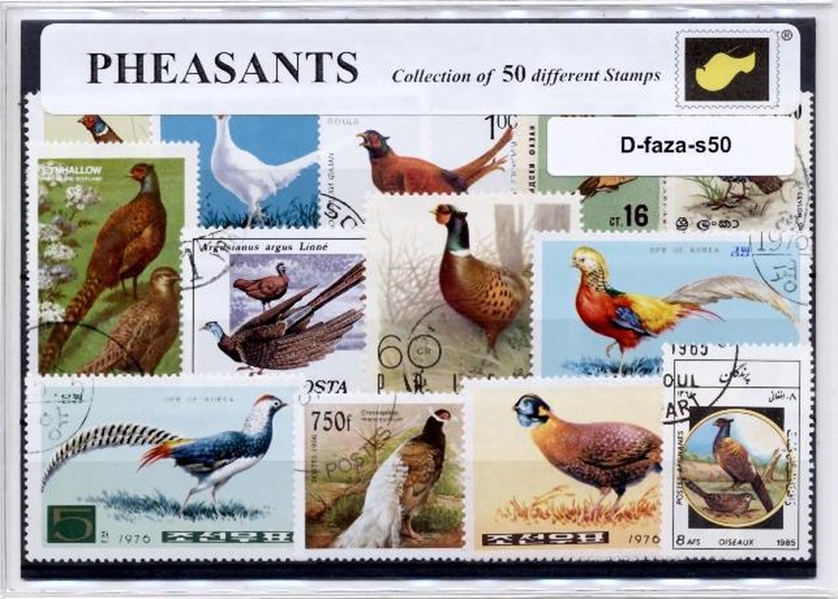 Fazanten – Luxe postzegel pakket (A6 formaat) : collectie van 50 verschillende postzegels van fazanten – kan als ansichtkaart in een A6 envelop - authentiek cadeau - kado tip - geschenk - kaart - Phasianus colchicus - vogel - hoender - grouse