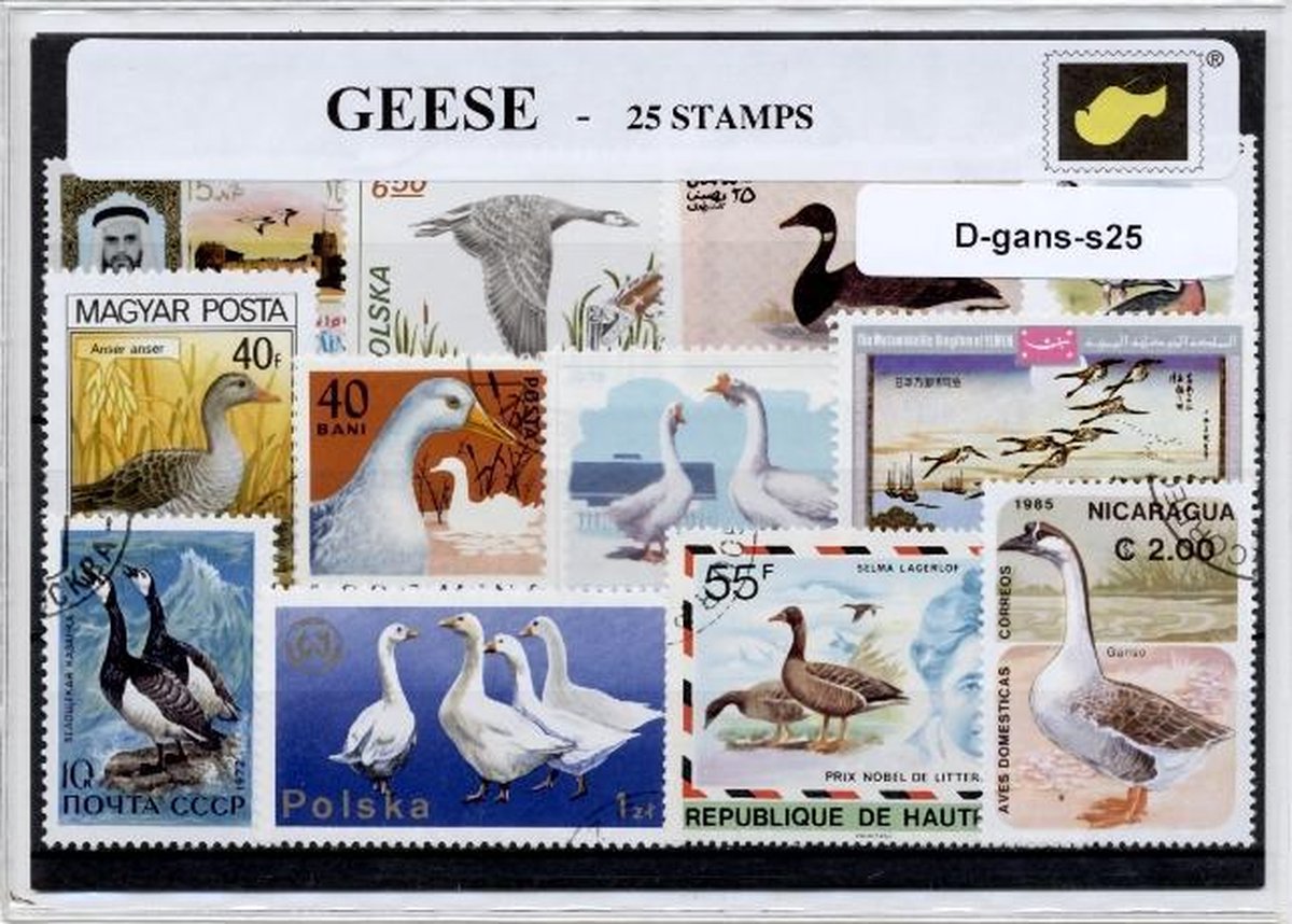 Ganzen – Luxe postzegel pakket (A6 formaat) - collectie van 25 verschillende postzegels van ganzen – kan als ansichtkaart in een A6 envelop. Authentiek cadeau - kado - kaart - watervogel - Anserinae - Anatidae - ganzerik - gent - gander