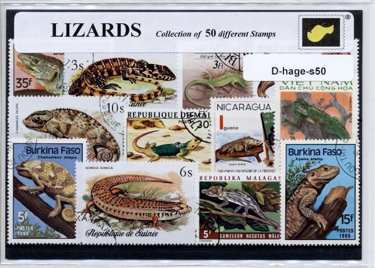 Hagedissen – Luxe postzegel pakket (A6 formaat) - collectie van 50 verschillende postzegels van hagedissen – kan als ansichtkaart in een A6 envelop. Authentiek cadeau - kado - kaart - Lacertilia - reptiel - reptielen - schubben - koudbloedig