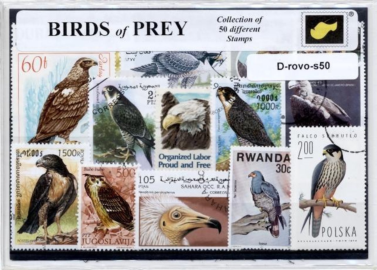 Roofvogels – Luxe postzegel pakket (A6 formaat) - collectie van 50 verschillende postzegels van roofvogels – kan als ansichtkaart in een A6 envelop. Authentiek cadeau - kado - kaart - gier - arend - buizerd - havik - vogels - jagen - valk - dieren