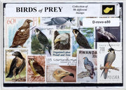 Roofvogels – Luxe postzegel pakket (A6 formaat) - collectie van 50 verschillende postzegels van roofvogels – kan als ansichtkaart in een A6 envelop. Authentiek cadeau - kado - kaart - gier - arend - buizerd - havik - vogels - jagen - valk - dieren