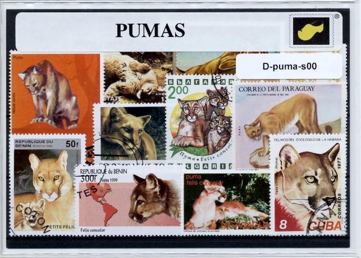 Puma's – Luxe postzegel pakket (A6 formaat) : collectie van verschillende postzegels van puma's – kan als ansichtkaart in een A6 envelop - authentiek cadeau - cadeau - geschenk - kaart - Panthera  poema - staart - zilverleeuw - roofier - bergleeuw