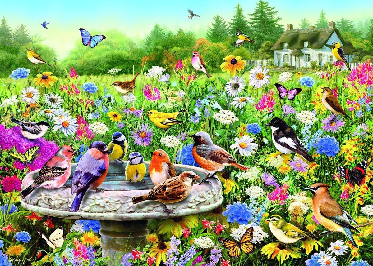 Gibsons puzzel The Secret Garden - Gift Box - 500 stukjes