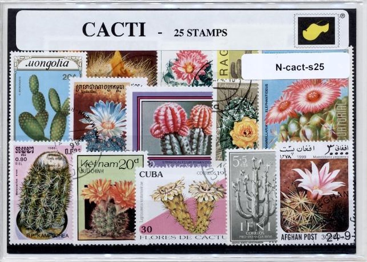 Cactussen – Luxe postzegel pakket (A6 formaat) : collectie van 25 verschillende postzegels van cactussen – kan als ansichtkaart in een A6 envelop