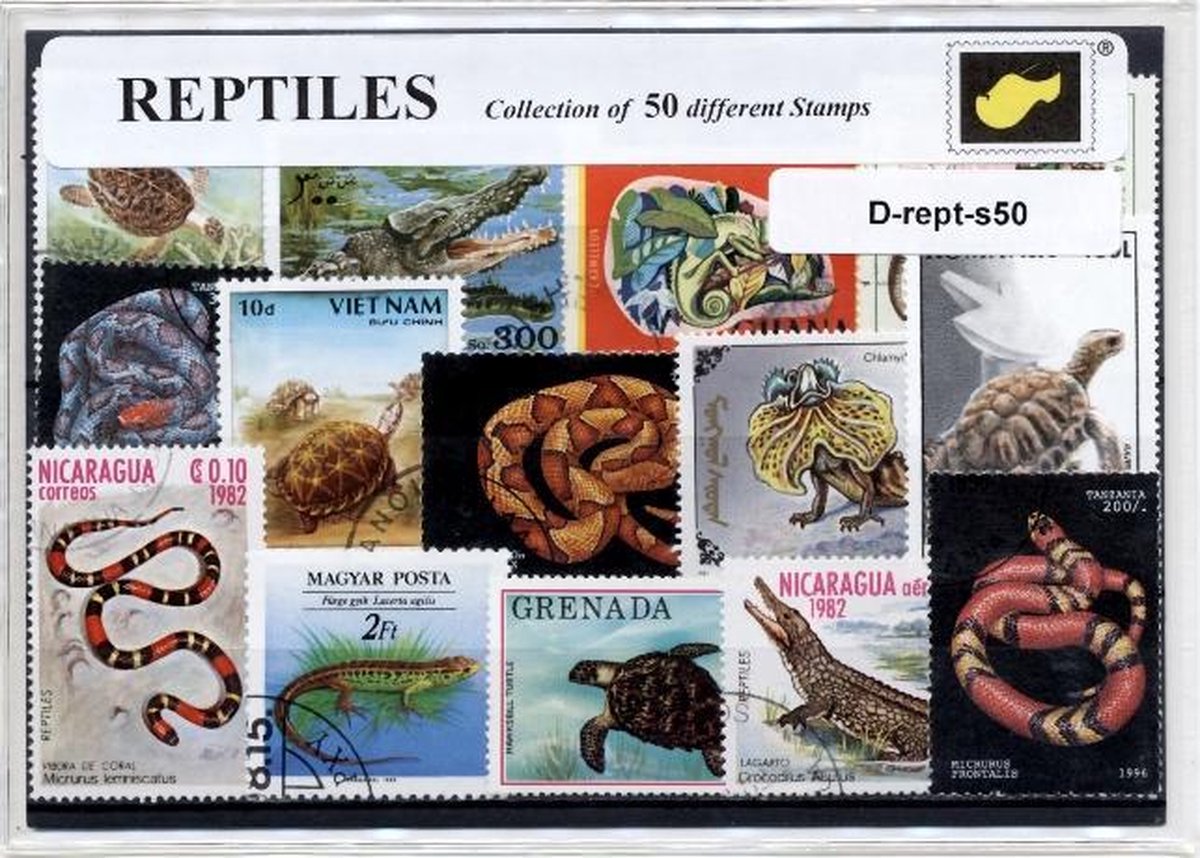 Reptielen – Luxe postzegel pakket (A6 formaat) - collectie van 50 verschillende postzegels van reptielen – kan als ansichtkaart in een A6 envelop. Authentiek cadeau - kado - kaart - Reptilia - reptiel - krokodil - schildpad - hagedis - kruipdieren