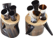 Viking shotjes set