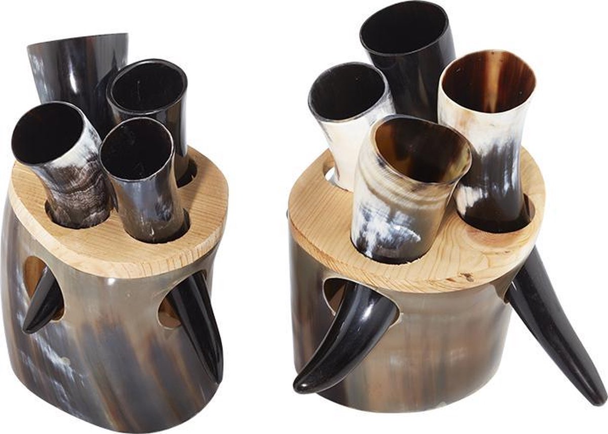 Viking shotjes set