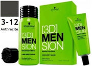 Schwarzkopf 3D Men Sion Color 3-12