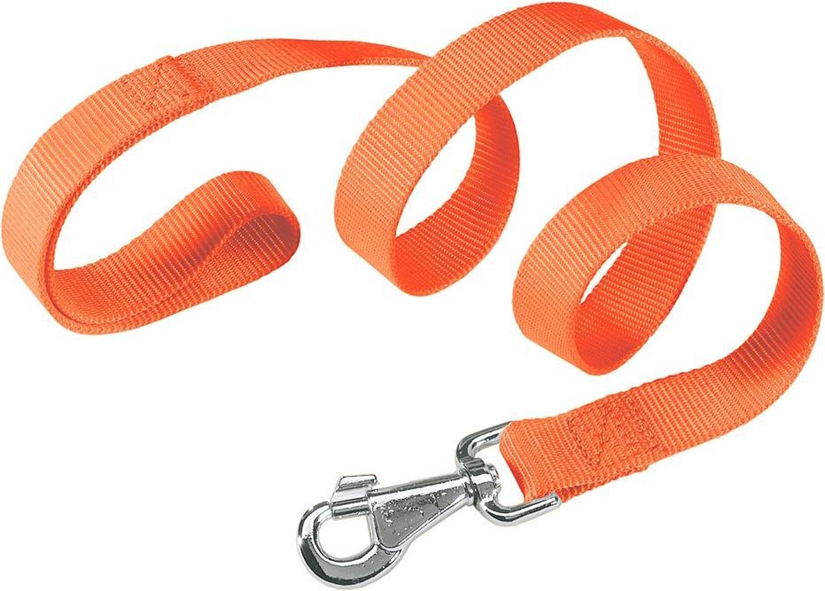 Club g15/120 laisse orange