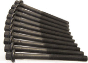 Cilinderkop bouten set voor Volvo Penta 1306341