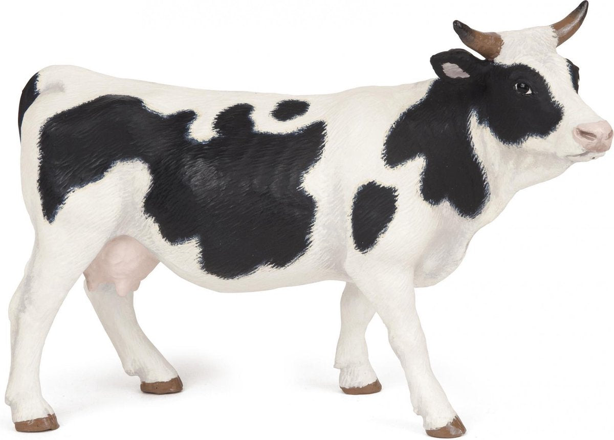 Zwart-witte koe