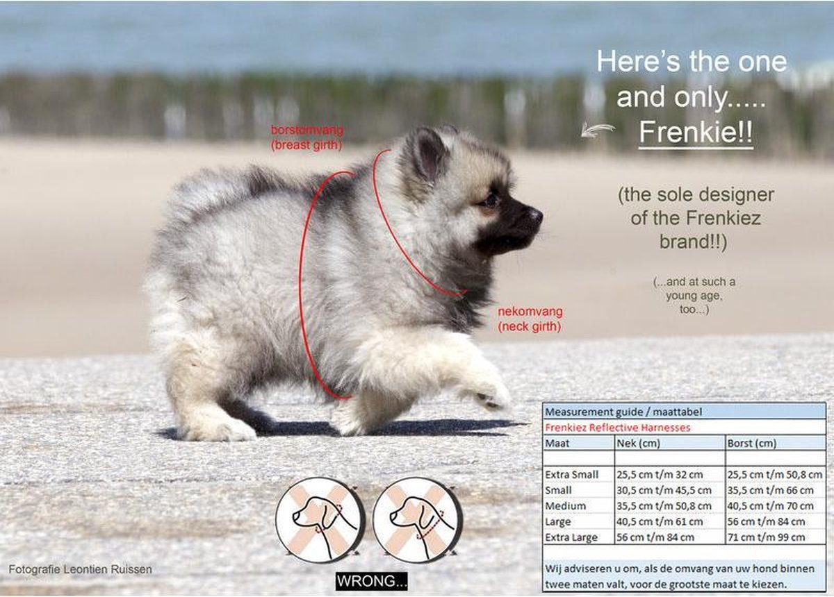 Frenkiez reflective no pull lockable dog harness