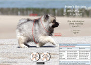 Frenkiez reflective no pull lockable harness