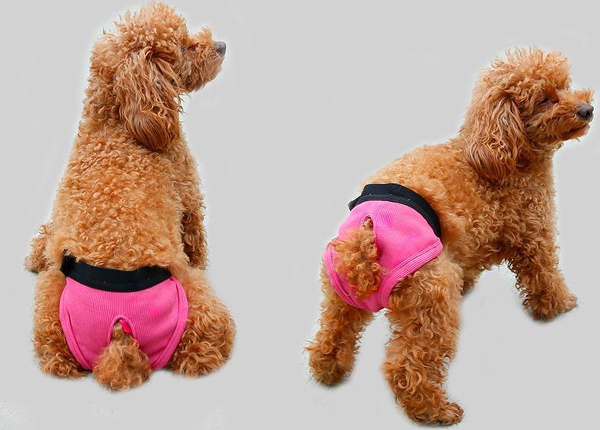 Hondenbroekje - luier voor teef - loopsheid - ongesteldheid - wasbaar - PINK - MEDIUM