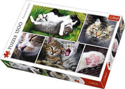 Katten Collage