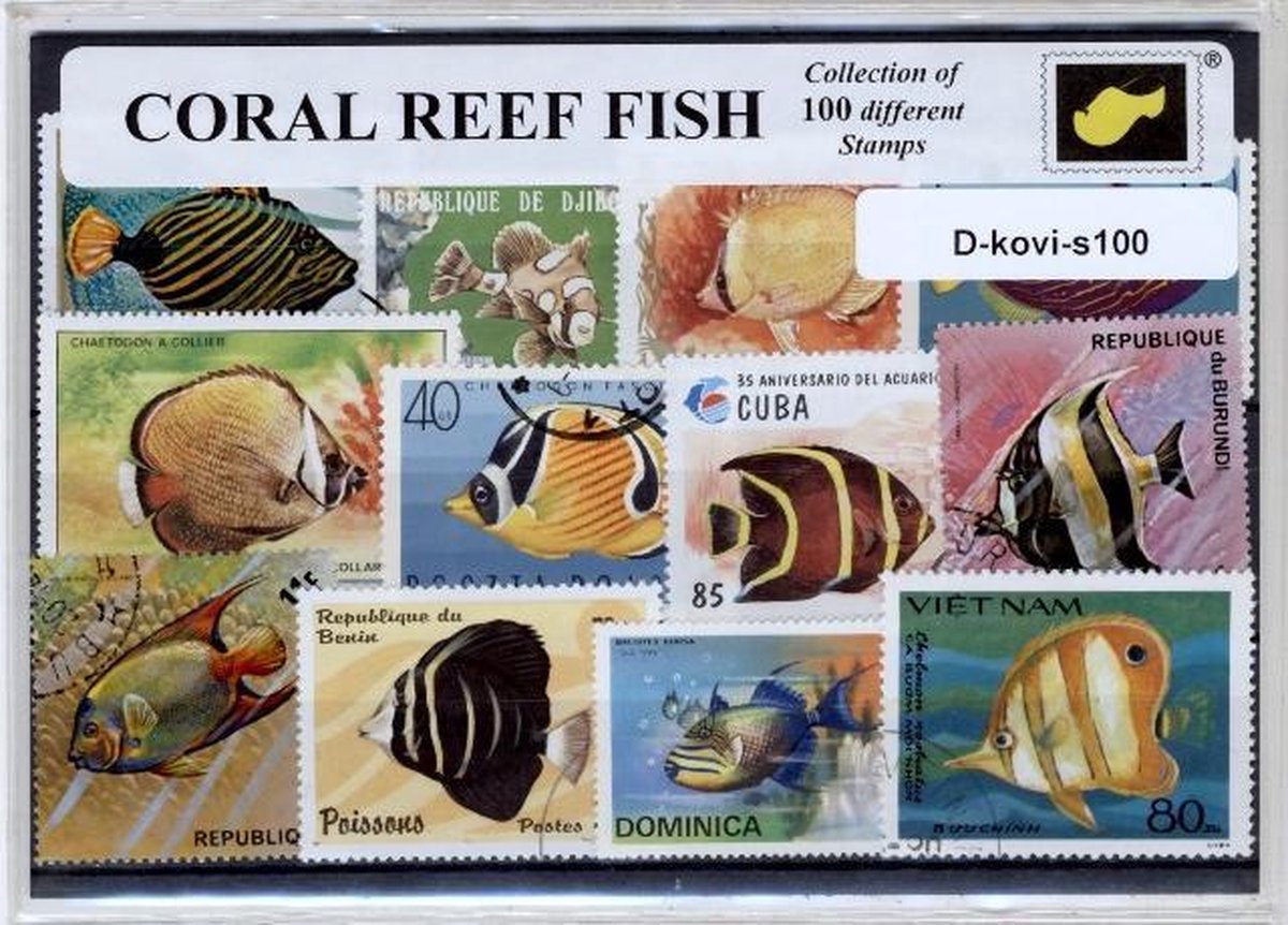 Koraalvissen – Luxe postzegel pakket (A6 formaat) : collectie van 100 verschillende postzegels van koraalvissen – kan als ansichtkaart in een A6 envelop - authentiek cadeau - kado - geschenk - kaart  - zee - onderwater - duiken - koraalrif - zeeleven