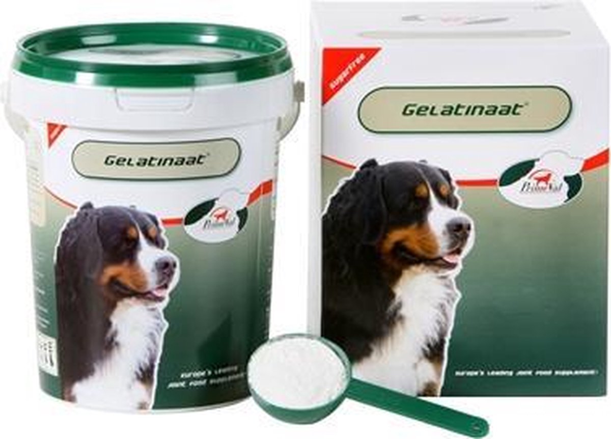 Primeval gelatinaat hond - 500 gr - 1 stuks