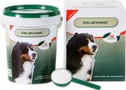 Primeval gelatinaat hond - 500 gr - 1 stuks