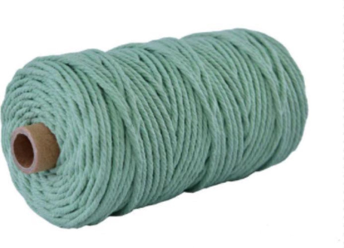 Macrame koord - touw - Macramé draad - 100 meter - 3 mm dik - makrame - mint groen