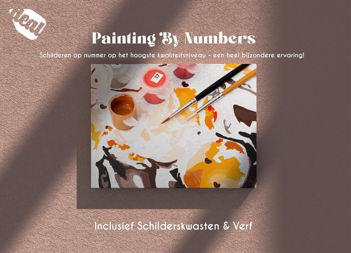 Deal Diamond Painting Schilderen Op Nummer Voor Volwassenen Inclusief Lijst