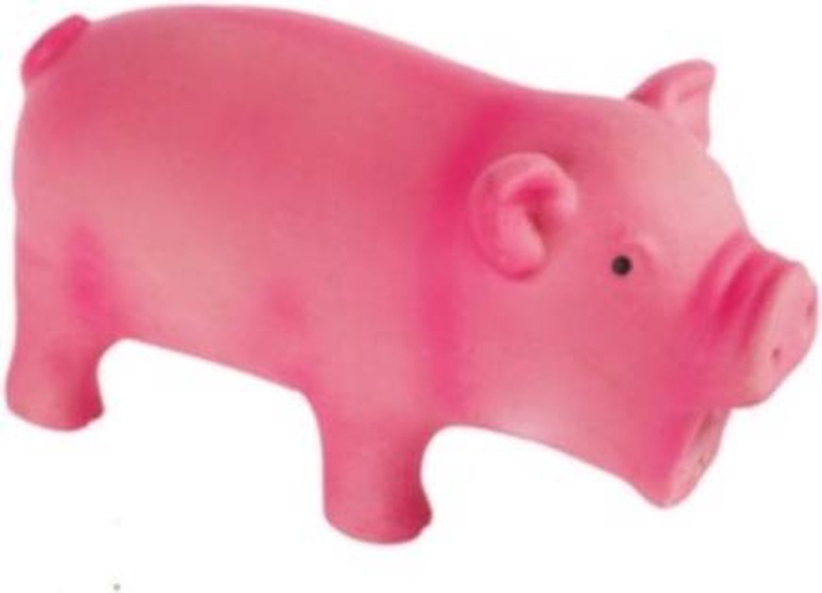 M-pets Piepspeelgoed Remy Pig 13