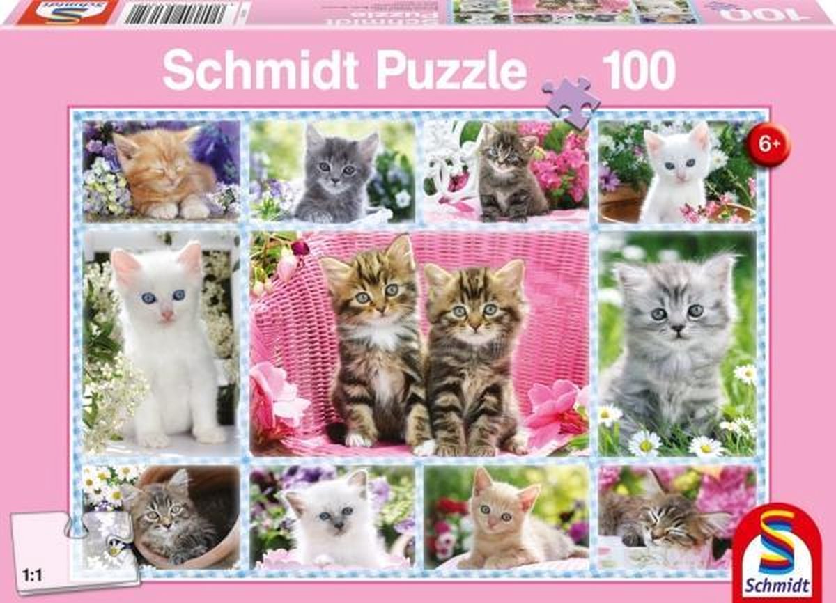 Kittens