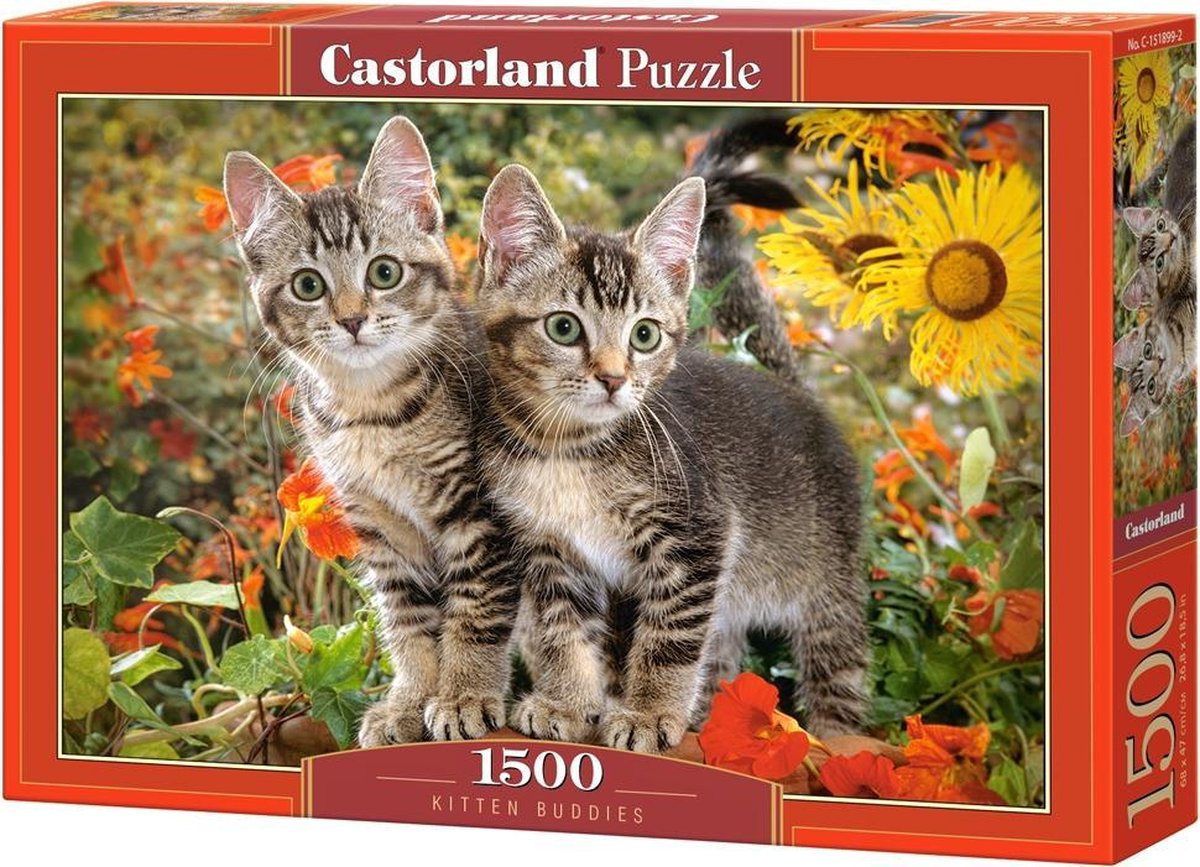 Castorland Puzzel Kitten Buddies  1500 Stukjes
