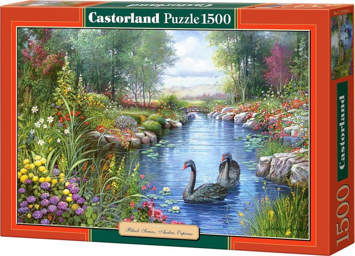 Black Swans