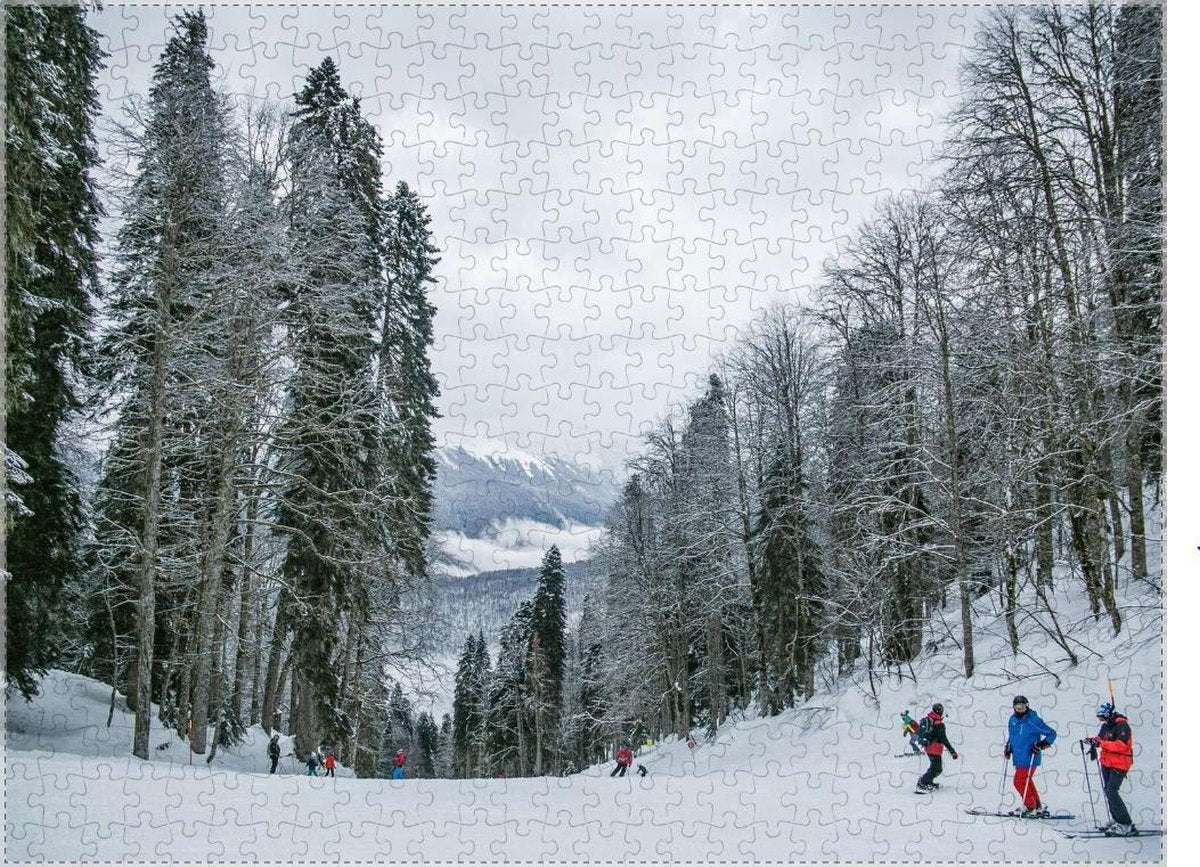 Skiën in de sneeuw puzzel 500 stukjes