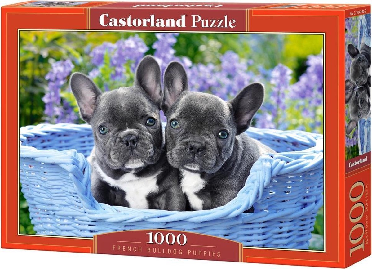French Bulldog Puppies - 1000 stukjes