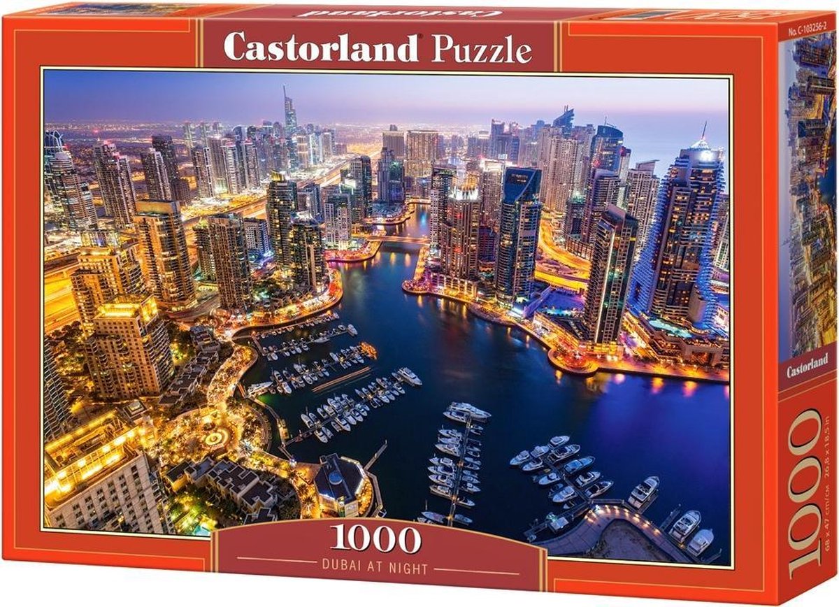 Dubai at Night - 1000 stukjes