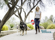 Wigzi Dual Doggie Gel Leash - Small - Black
